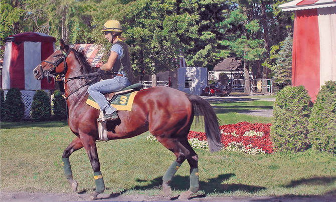 At the Ready is a Saratoga Racetrack painting by Photorealist painter Denis Peterson